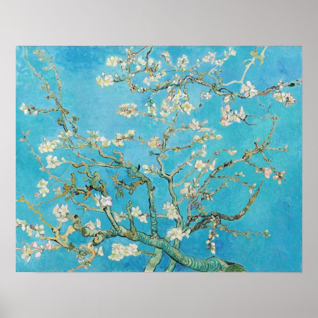 Vincent van Gogh - Almond Blommar Poster (Framsidan)