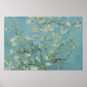 Vincent van Gogh - Almond Blommar Poster