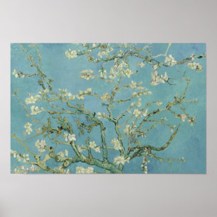 Vincent van Gogh - Almond Blommar Poster