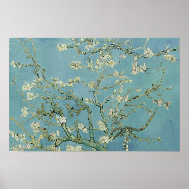 Vincent van Gogh - Almond Blommar Poster (Framsidan)