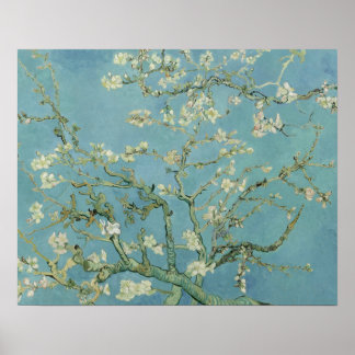 Vincent van Gogh - Almond Blommar Poster