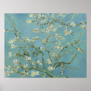 Vincent van Gogh - Almond Blommar Poster