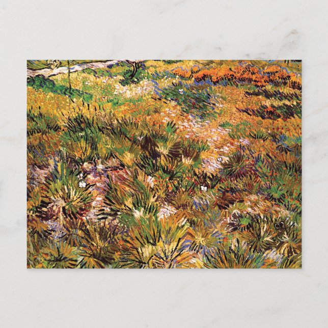 Vincent Van Gogh - Äng i trädgården Fine Art Vykort (Framsida)