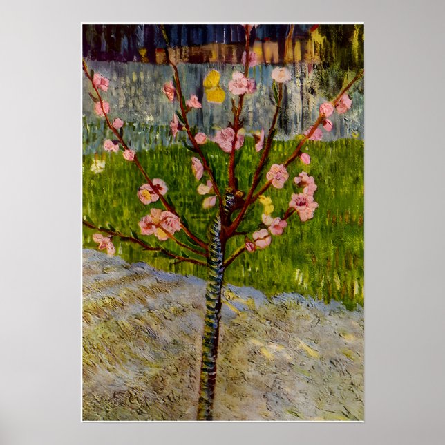 Vincent Van Gogh art Poster (Framsidan)