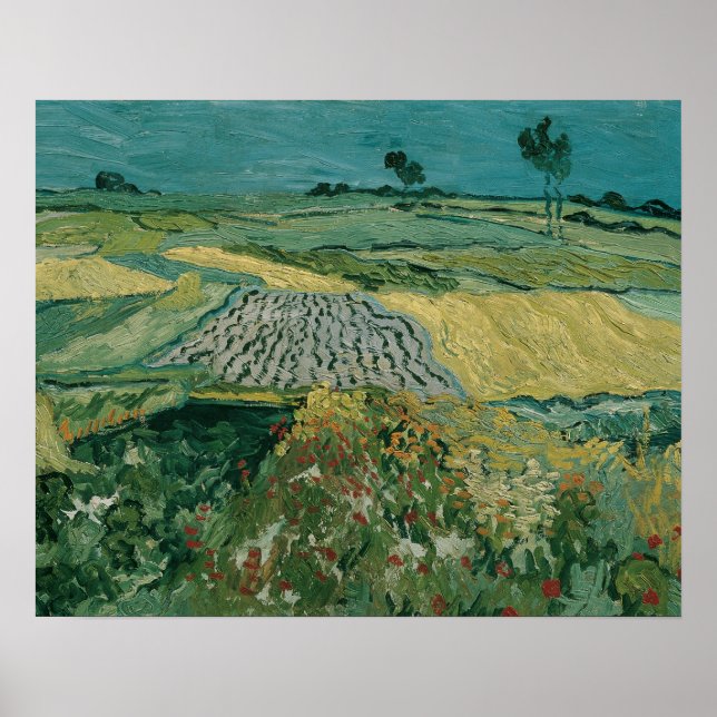 Vincent van Gogh - Auvers slätten Poster (Framsidan)