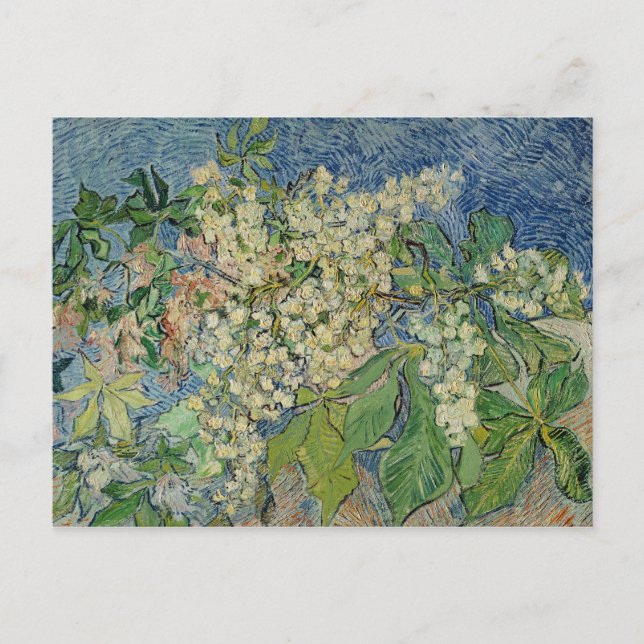 Vincent van Gogh | Blommande kastanjegrenar Vykort (Framsida)
