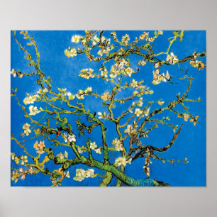 Vincent Van Gogh - Blommande mandelträd fint konst Poster