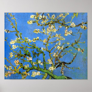 Vincent Van Gogh - Blommande mandelträd fint konst Poster