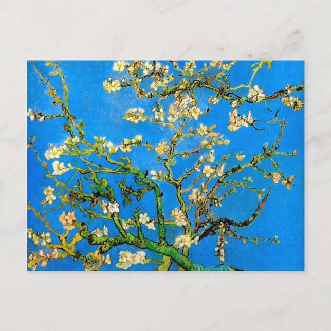 Vincent Van Gogh - blommande mandelträd fint konst Vykort (Framsida)