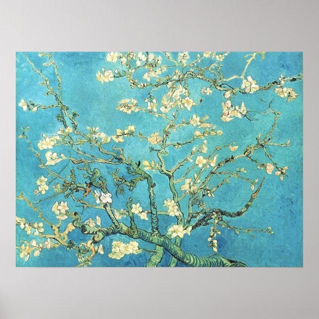Vincent van Gogh Blommande mandelträd Poster (Framsidan)