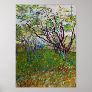 Vincent van Gogh - Blommar Orchard Poster