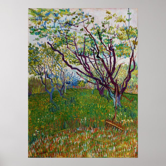 Vincent van Gogh - Blommar Orchard Poster (Framsidan)