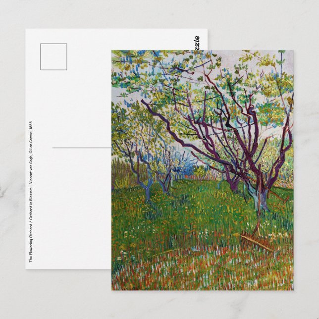 Vincent van Gogh - Blommar Orchard Vykort (Fram/baksida)