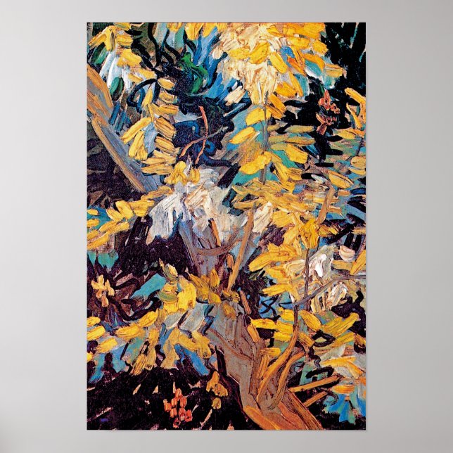 Vincent Van Gogh - Blossoming Acacia Grenar Poster (Framsidan)