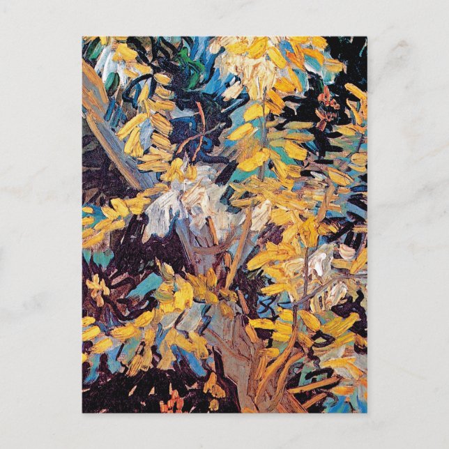Vincent Van Gogh - Blossoming Acacia Grenar Vykort (Framsida)