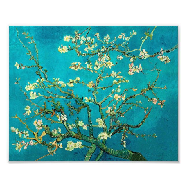 Vincent Van Gogh Blossoming Almond Träd Blommigt A Fototryck (Framsidan)