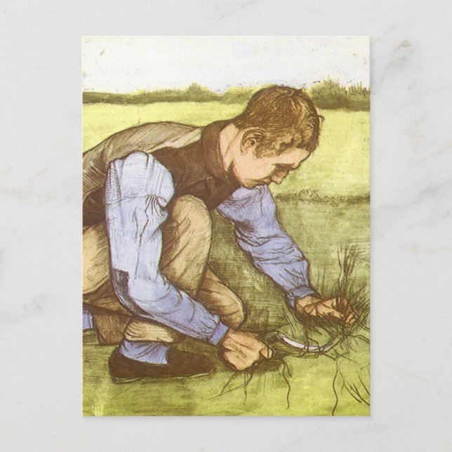 Vincent van Gogh - Boy Cining Grass with Sickle Vykort (Framsida)