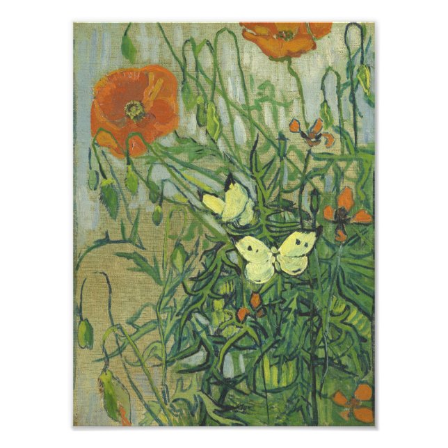 Vincent Van Gogh - Butterflies och poppies Fototryck (Framsidan)