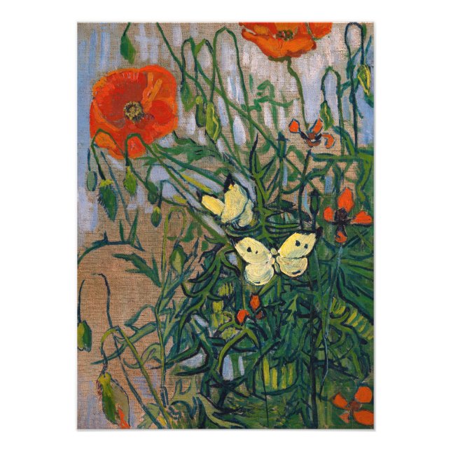 Vincent van Gogh - Butterflies och Poppies Fototryck (Framsidan)