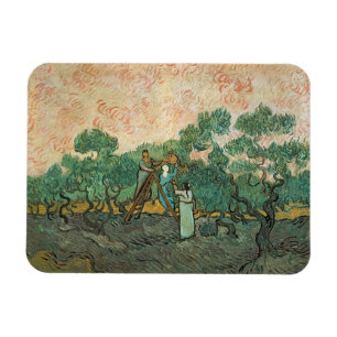 Vincent Van Gogh de olivgröna pickersna som Är Magnet