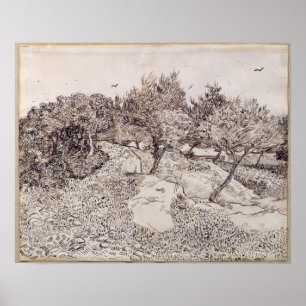 Vincent Van Gogh   de olivgröna träden Poster