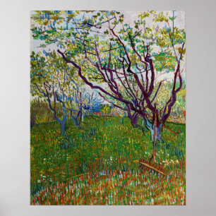 Vincent van Gogh - Den blommande fruktträdgården Poster