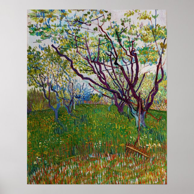 Vincent van Gogh - Den blommande fruktträdgården Poster (Framsidan)