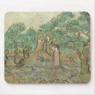 Vincent Van Gogh den olivgröna fruktträdgårde Musmatta
