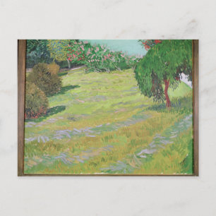 Vincent van Gogh Fält i solljus, 1888 Vykort