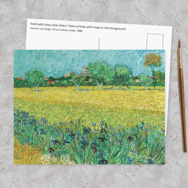 Vincent van Gogh - Fält med irisar nära Arles Vykort (Skapare uppladdad)