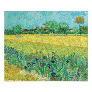 Vincent van Gogh - Fält med Irises nära Arles Fototryck