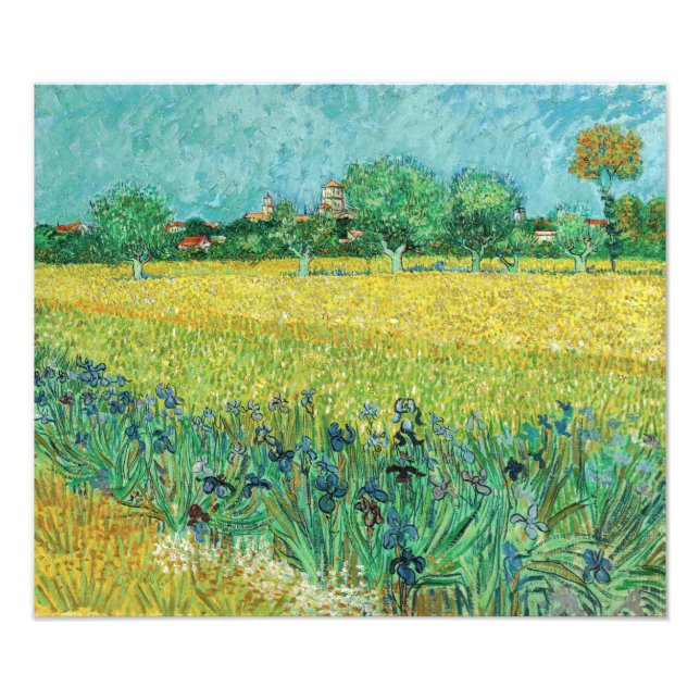 Vincent van Gogh - Fält med Irises nära Arles Fototryck (Framsidan)