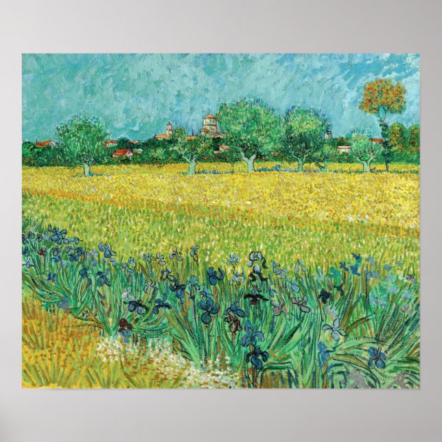 Vincent van Gogh - Fält med Irises nära Arles Poster (Framsidan)