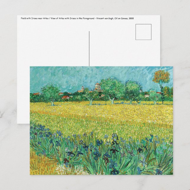 Vincent van Gogh - Fält med Irises nära Arles Vykort (Fram/baksida)