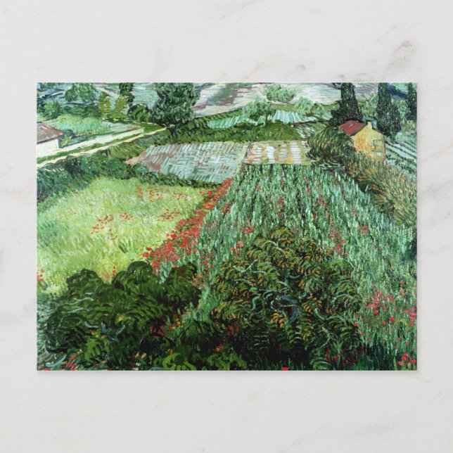 Vincent van Gogh | Fält med Poppies, 1889 Vykort (Framsida)