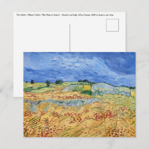 Vincent van Gogh - fält / Plain at Auvers Vykort