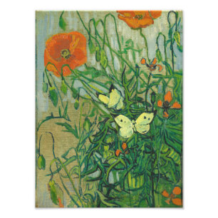 Vincent Van Gogh - fjärilar och vallmor Fototryck