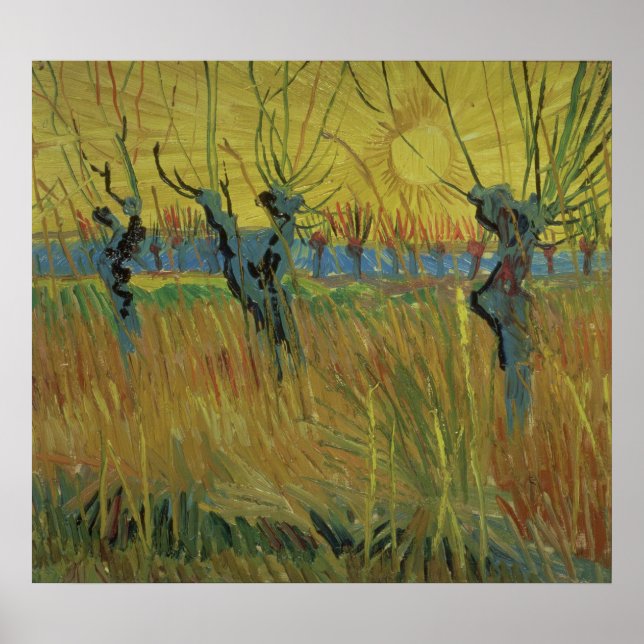 Vincent van Gogh | Förorenade Willows Setting Sol Poster (Framsidan)