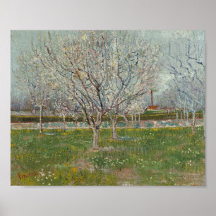 Vincent van Gogh - Fruktträdgård i blomning Poster
