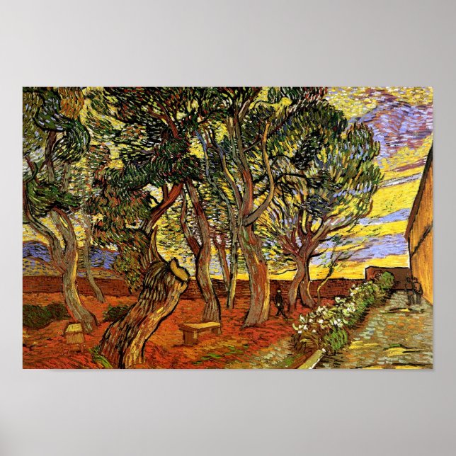 Vincent Van Gogh - Garden från sjukhuset Saint Pau Poster (Framsidan)