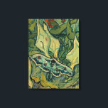 Vincent van Gogh - Giant Peacock Moth Canvastryck<br><div class="desc">Giant Peacock Moth/Emperor Moth - Vincent van Gogh,  Oil on Canvas,  Saint-Rémy-de-Provence,  1889</div>