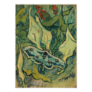 Vincent van Gogh - Giant Peacock Moth Fototryck