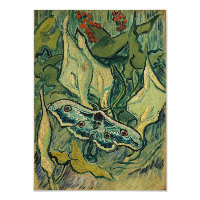 Vincent van Gogh - Giant Peacock Moth Fototryck (Framsidan)