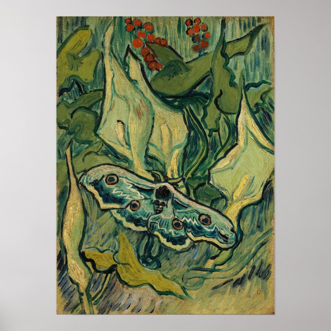 Vincent van Gogh - Giant Peacock Moth Poster (Framsidan)