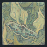Vincent van Gogh - Giant Peacock Moth Stenunderlägg<br><div class="desc">Giant Peacock Moth/Emperor Moth - Vincent van Gogh,  Oil on Canvas,  Saint-Rémy-de-Provence,  1889</div>