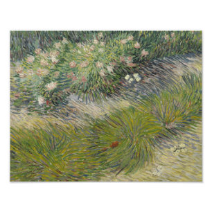 Vincent van Gogh - Grass och Butterflies Fototryck