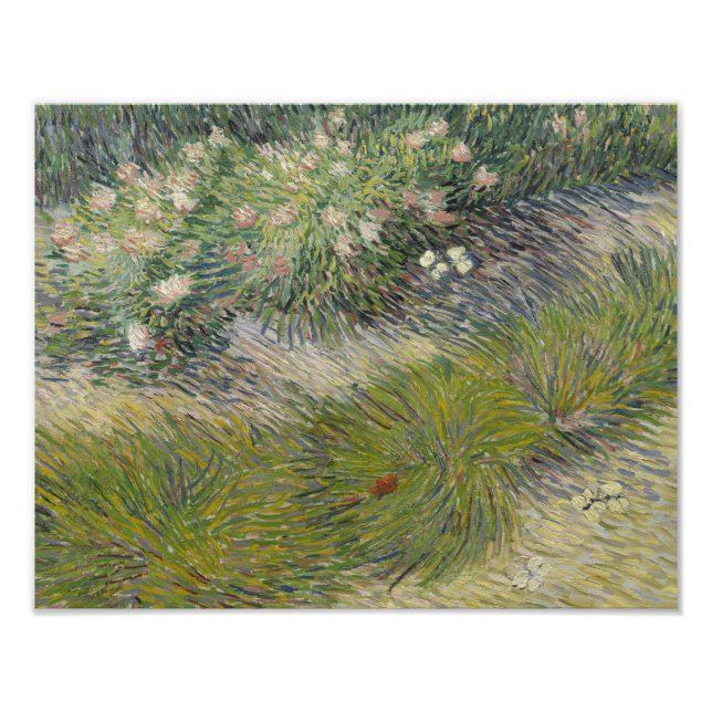 Vincent van Gogh - Grass och Butterflies Fototryck (Framsidan)