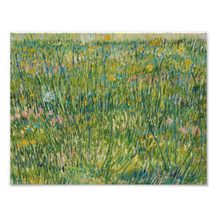 Vincent van Gogh - Grass-Patch Fototryck