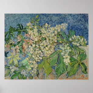 Vincent van Gogh   Grenar för blommande kastanj Poster