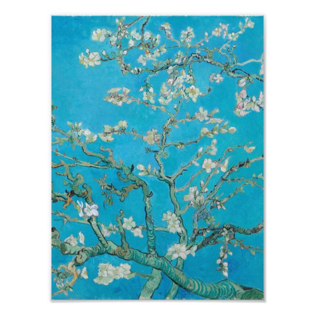 Vincent Van Gogh-Grenar med Almond Blommar Fototryck (Framsidan)